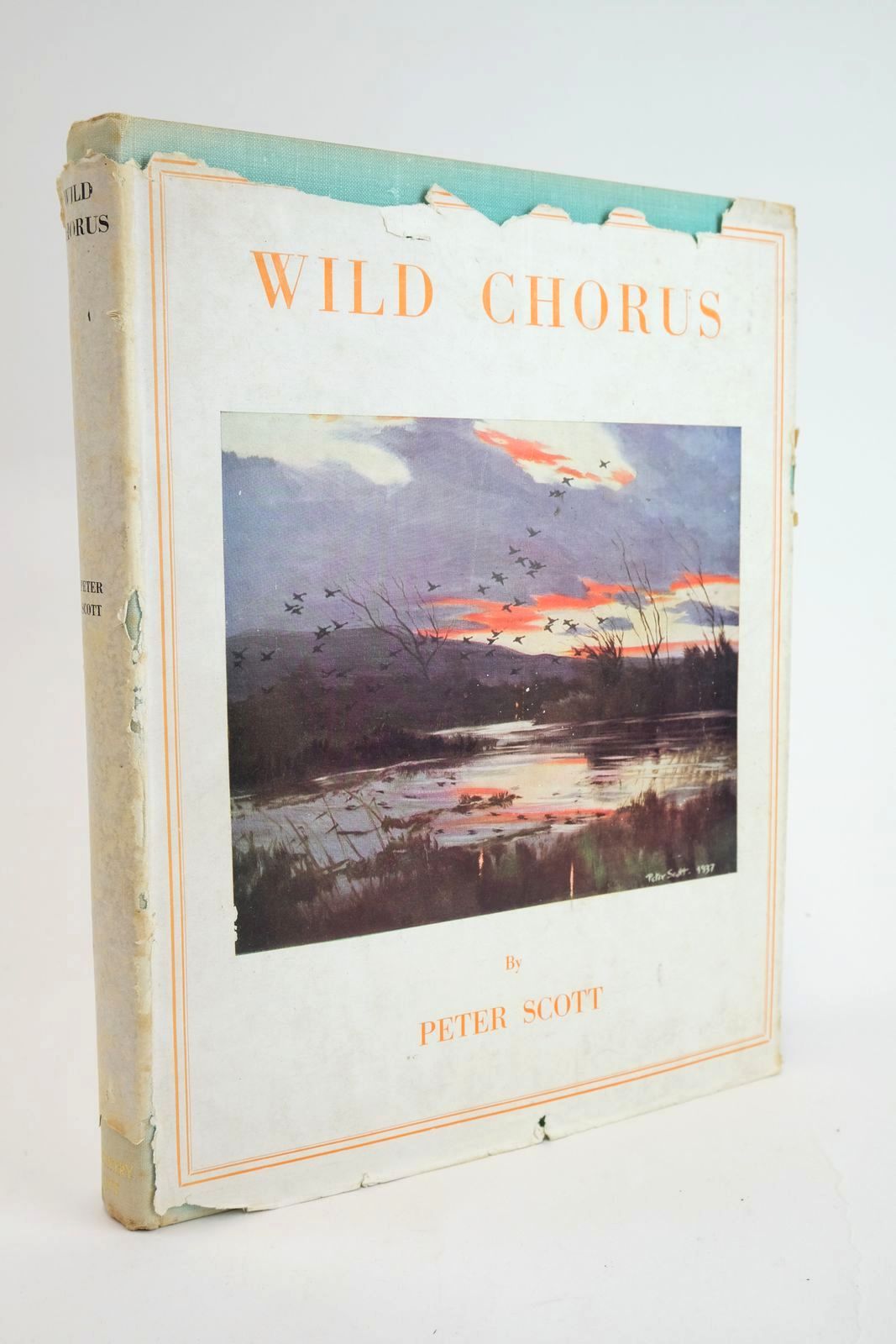 Photo of WILD CHORUS written by Scott, Peter illustrated by Scott, Peter published by Country Life (STOCK CODE: 1329010)  for sale by Stella & Rose's Books