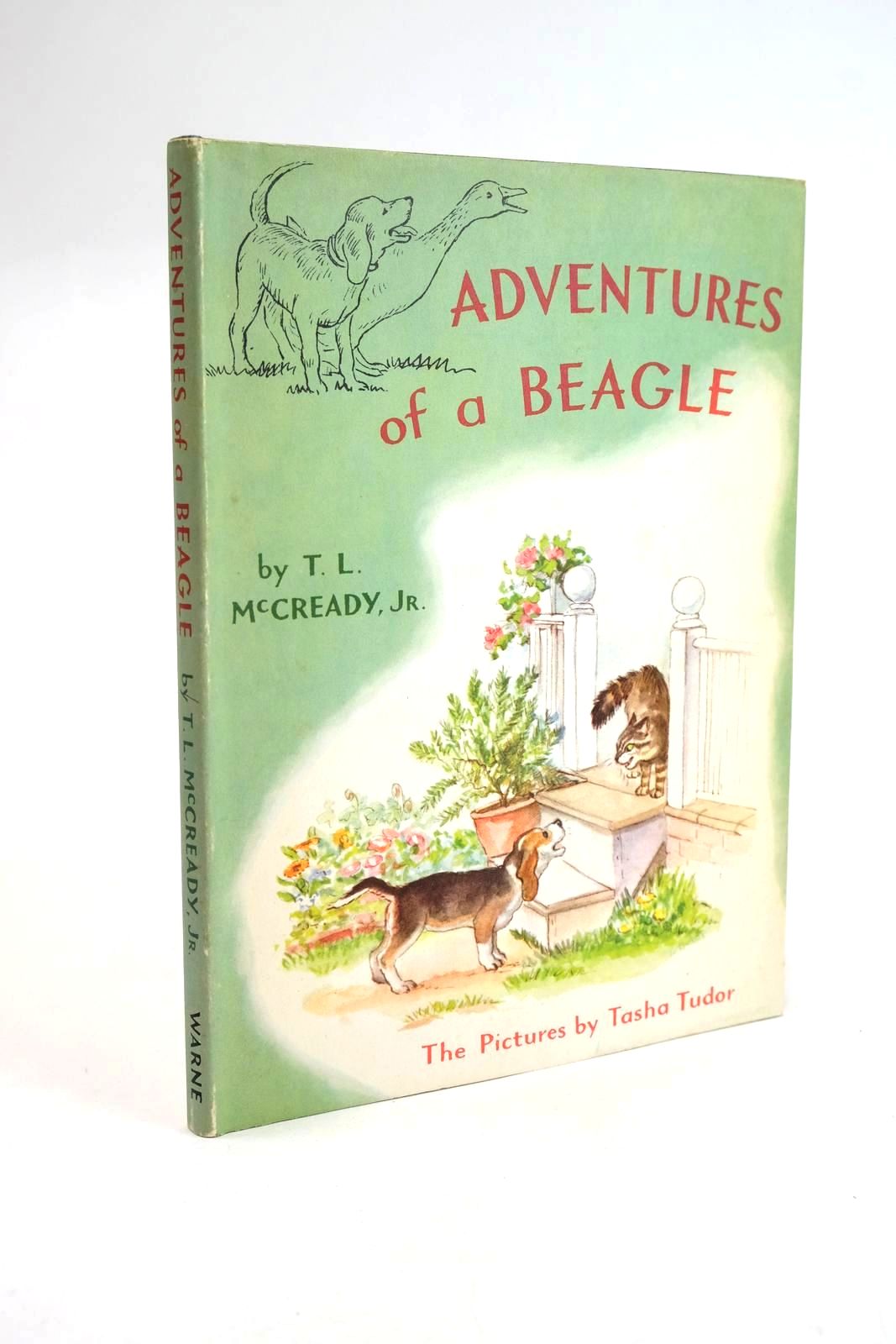 Photo of ADVENTURES OF A BEAGLE- Stock Number: 1329020