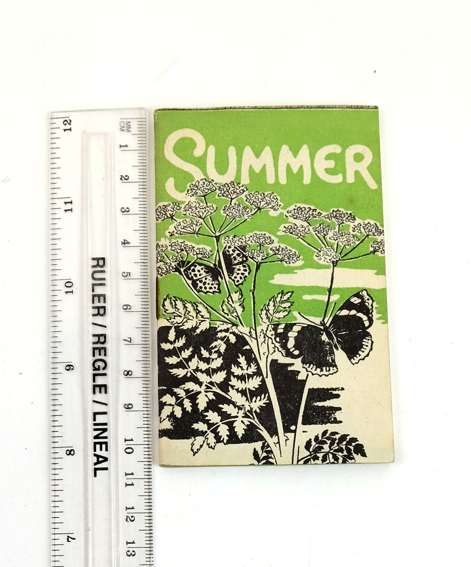 Photo of SUMMER written by Kaberry, C.J. illustrated by Croxson, E.C. published by Oxford University Press (STOCK CODE: 1329057)  for sale by Stella & Rose's Books