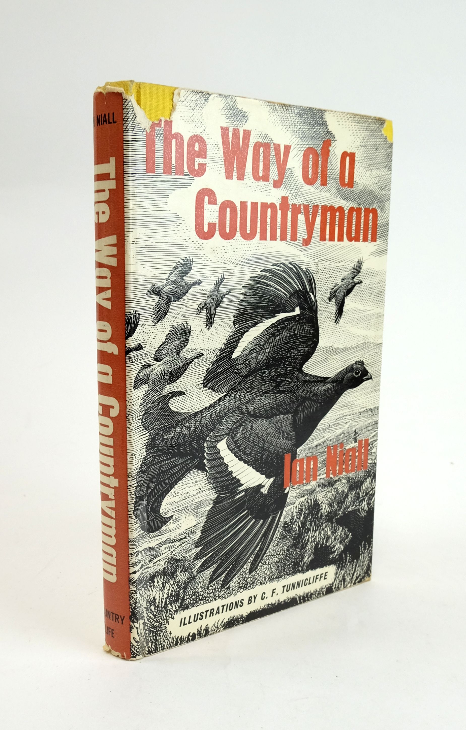 Photo of THE WAY OF A COUNTRYMAN- Stock Number: 1329068