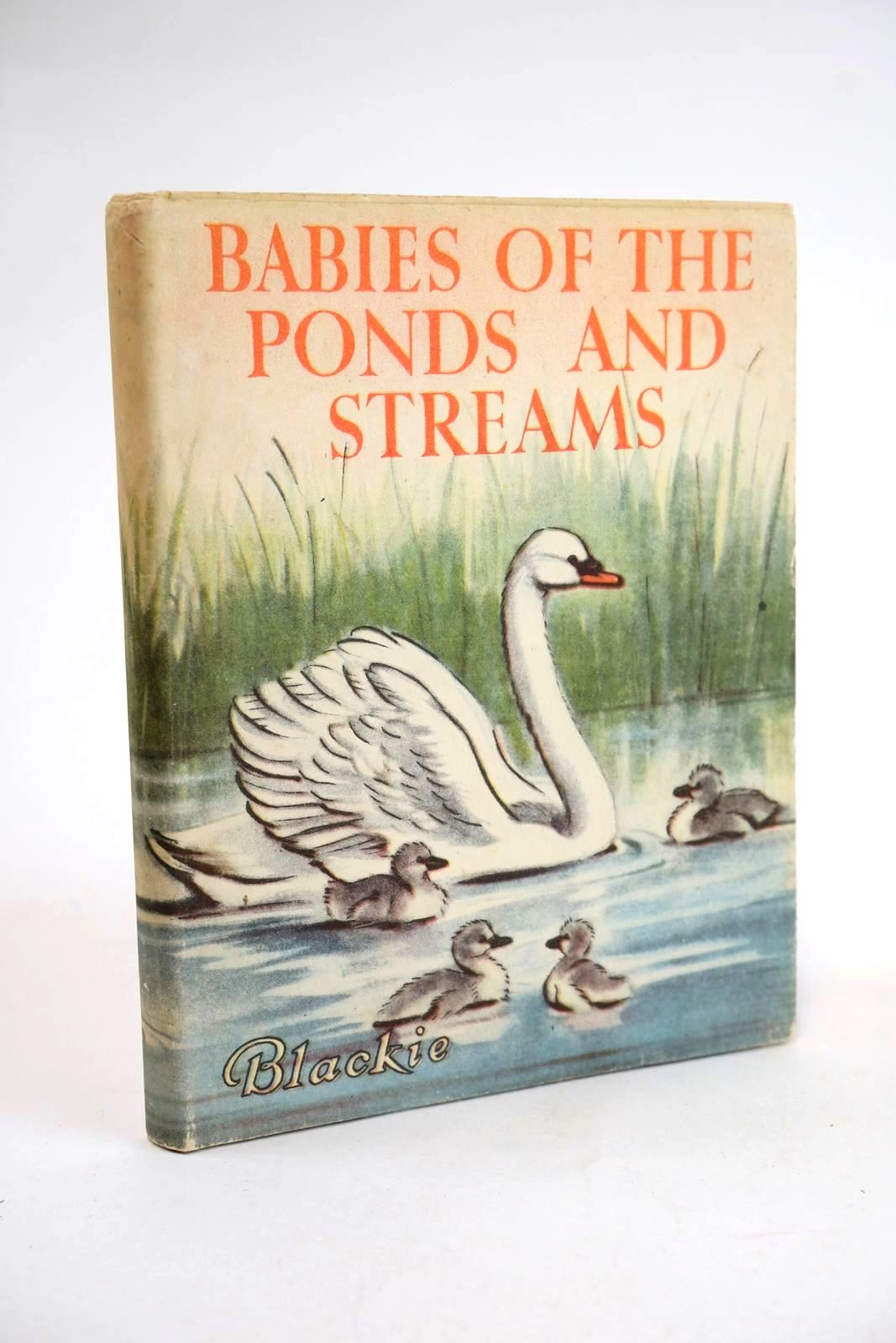 Photo of BABIES OF THE PONDS AND STREAMS- Stock Number: 1329088