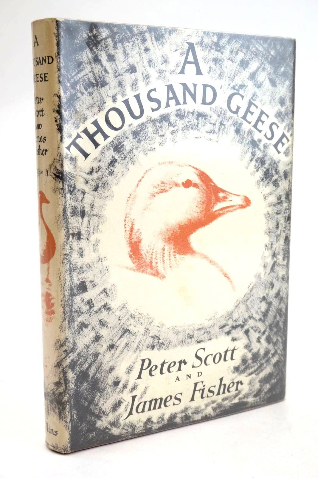 Photo of A THOUSAND GEESE written by Scott, Peter Fisher, James illustrated by Scott, Peter published by Collins (STOCK CODE: 1329155)  for sale by Stella & Rose's Books