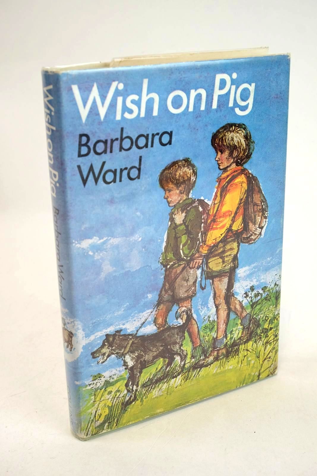 Photo of WISH ON PIG- Stock Number: 1330419