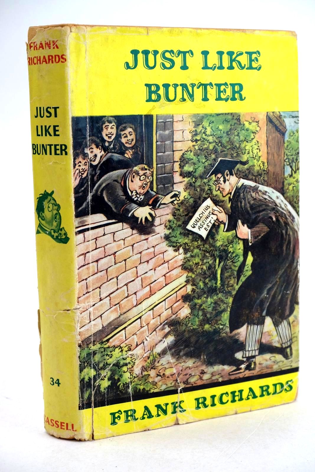 Photo of JUST LIKE BUNTER- Stock Number: 1330632