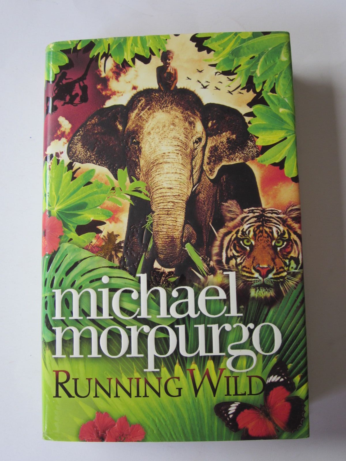 Photo of RUNNING WILD written by Morpurgo, Michael illustrated by Young, Sarah published by Harper Collins Childrens Books (STOCK CODE: 1401261)  for sale by Stella & Rose's Books