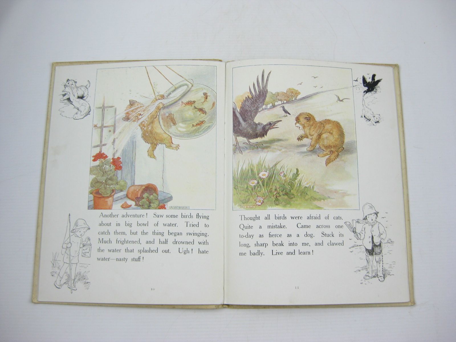 Photo of THE CUDDLY -KITTY BOOK written by Anderson, Anne
Wright, Alan illustrated by Anderson, Anne
Wright, Alan published by Thomas Nelson and Sons Ltd. (STOCK CODE: 1402348)  for sale by Stella & Rose's Books