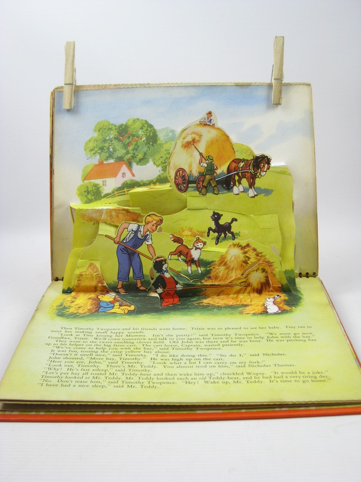 Photo of NICHOLAS AND TIMOTHY FARMYARD POP-UP STORY BOOK written by Styles, Kitty published by Sampson Low (STOCK CODE: 1402354)  for sale by Stella & Rose's Books