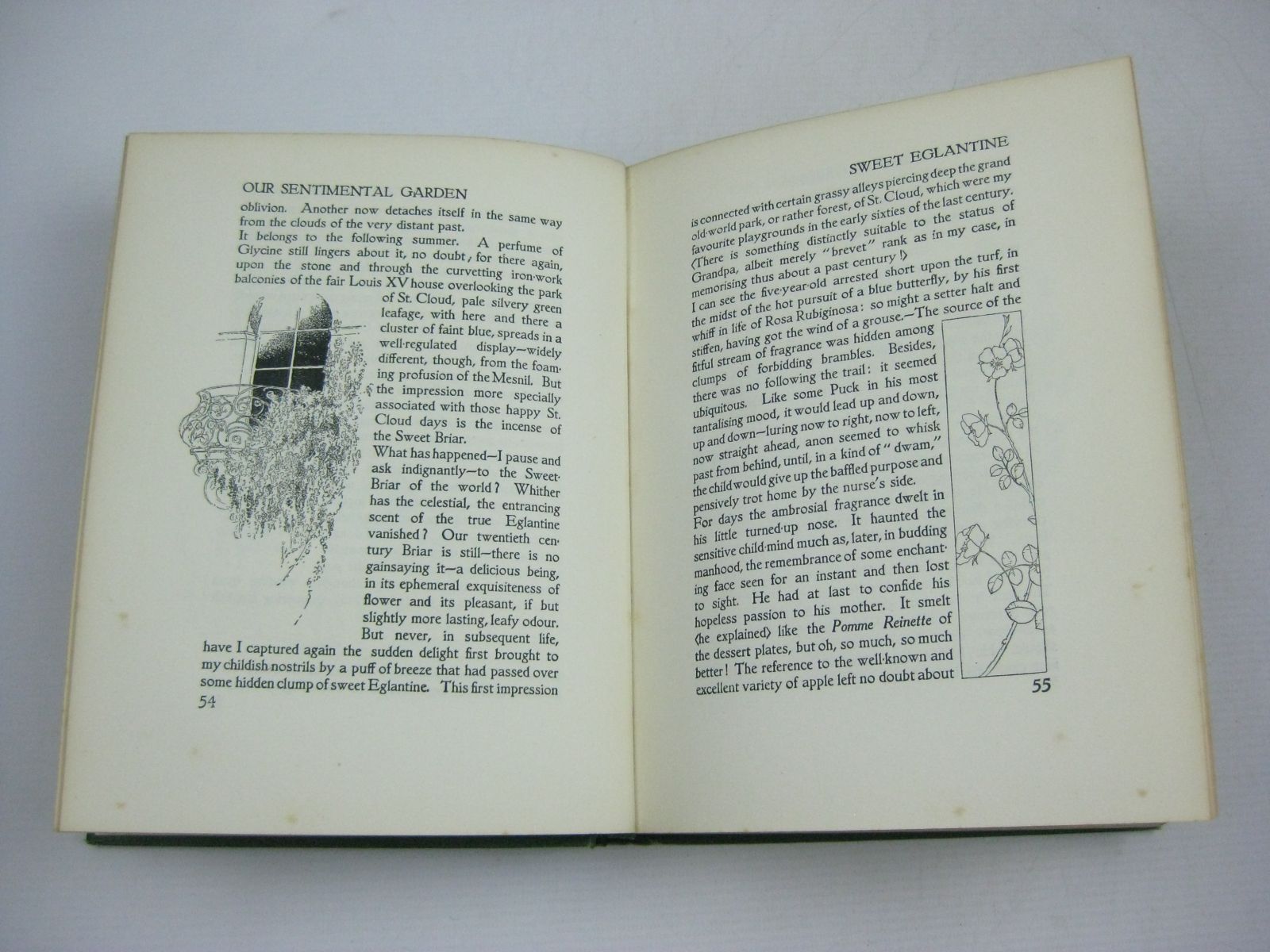 Photo of OUR SENTIMENTAL GARDEN written by Castle, Agnes
Castle, Egerton illustrated by Robinson, Charles published by William Heinemann (STOCK CODE: 1404229)  for sale by Stella & Rose's Books