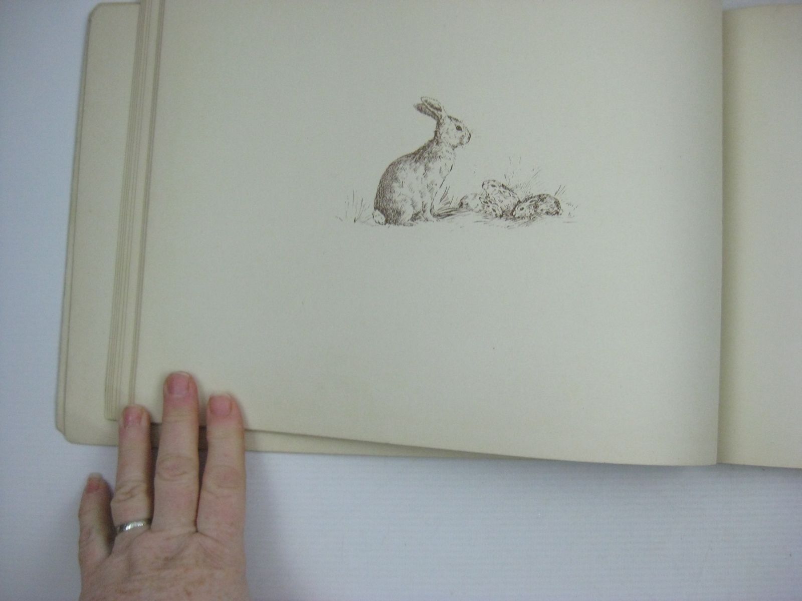 Photo of THE HOLE AND CORNER BOOK written by Parker, B. illustrated by Parker, N. published by W. & R. Chambers (STOCK CODE: 1404293)  for sale by Stella & Rose's Books