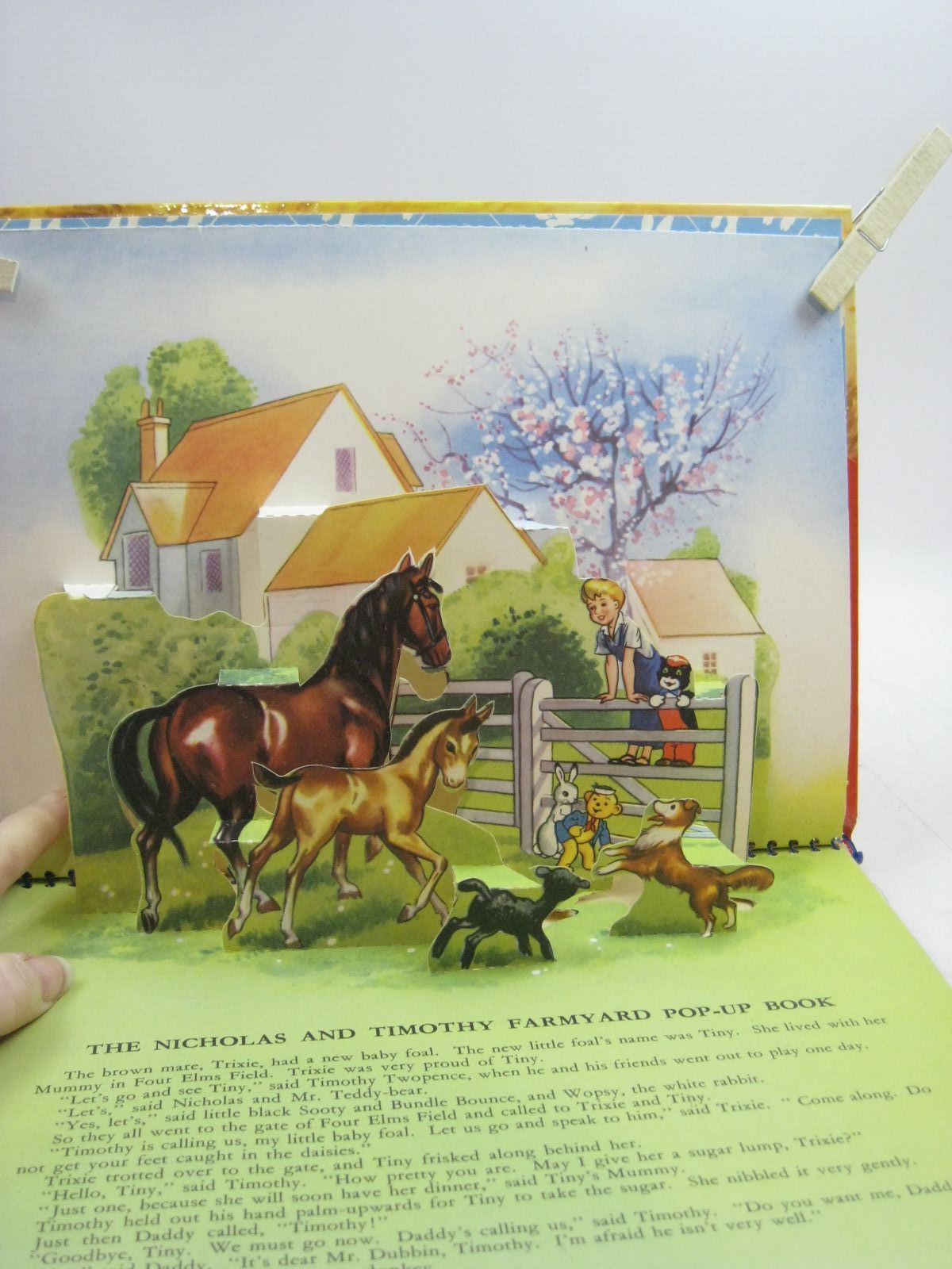Photo of NICHOLAS AND TIMOTHY FARMYARD POP-UP STORY BOOK written by Styles, Kitty published by Sampson Low (STOCK CODE: 1404434)  for sale by Stella & Rose's Books