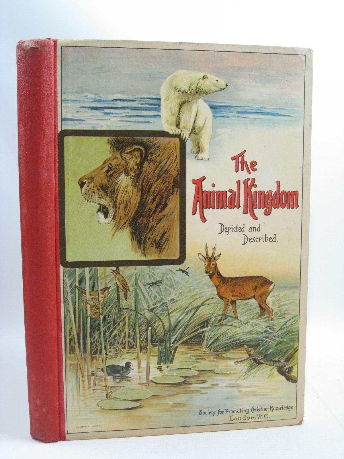 Photo of THE ANIMAL KINGDOM written by Zwanziger, Dr. published by Society for Promoting Christian Knowledge (STOCK CODE: 1404720)  for sale by Stella & Rose's Books