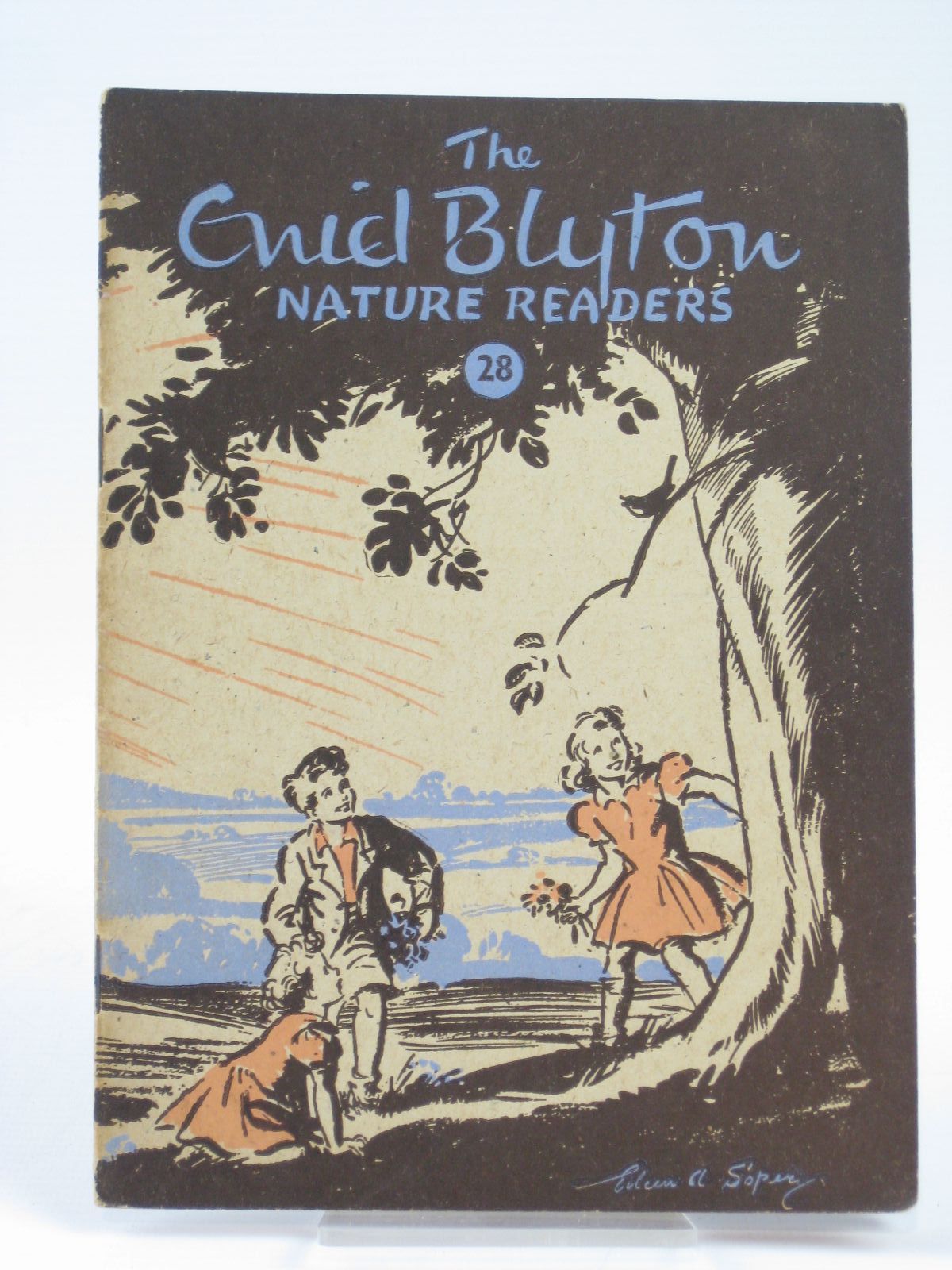 Photo of THE ENID BLYTON NATURE READERS NO. 28 written by Blyton, Enid illustrated by Soper, Eileen published by Macmillan &amp; Co. Ltd. (STOCK CODE: 1406273)  for sale by Stella & Rose's Books