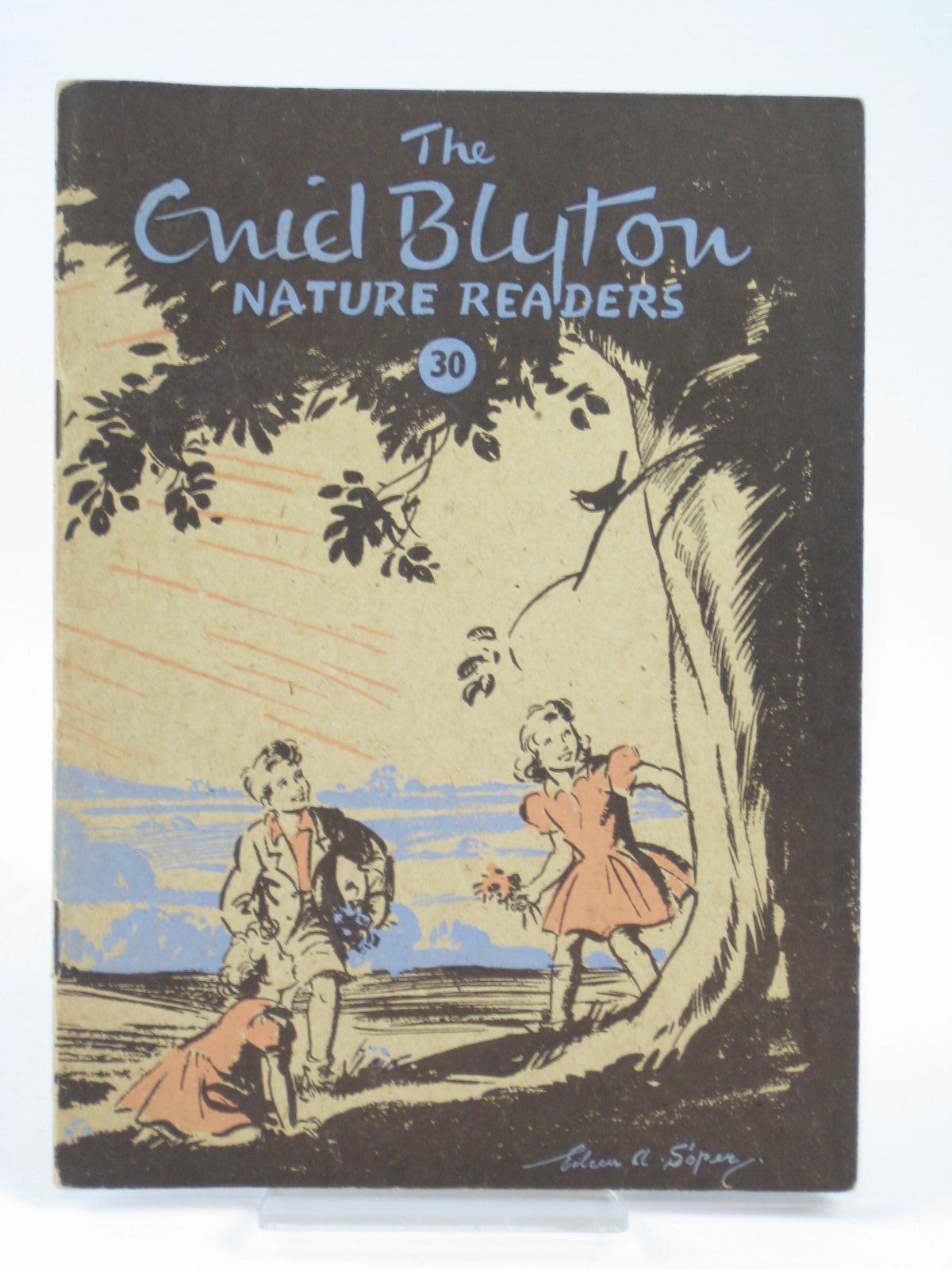 Photo of THE ENID BLYTON NATURE READERS NO. 30 written by Blyton, Enid illustrated by Soper, Eileen published by Macmillan &amp; Co. Ltd. (STOCK CODE: 1406281)  for sale by Stella & Rose's Books