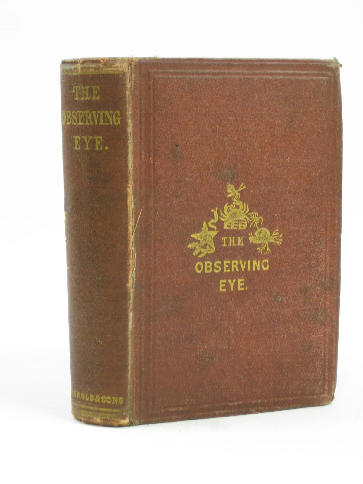 Photo of THE OBSERVING EYE published by Jarrold &amp; Sons (STOCK CODE: 1406375)  for sale by Stella & Rose's Books