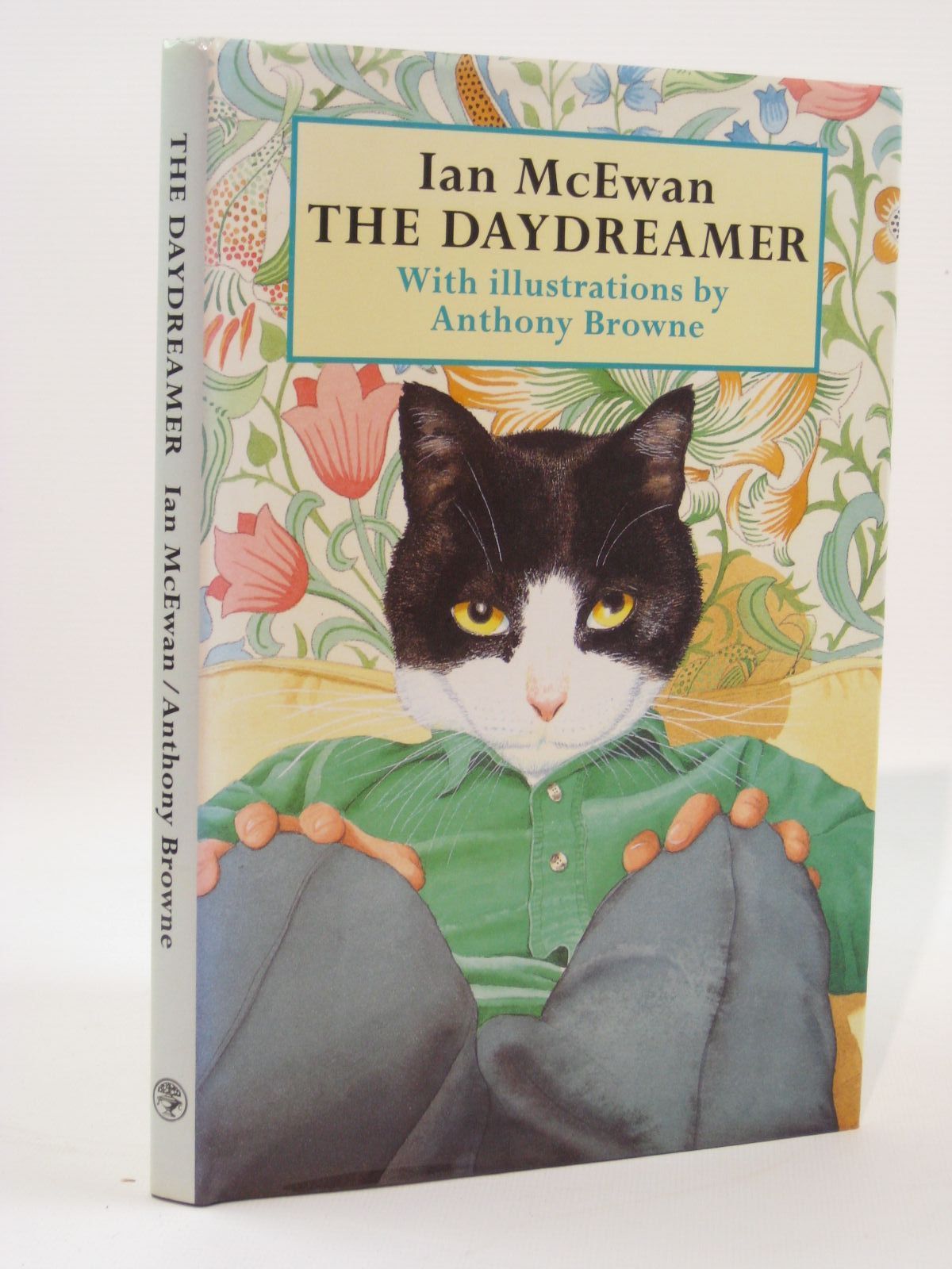 Photo of THE DAYDREAMER written by McEwan, Ian illustrated by Browne, Anthony published by Jonathan Cape (STOCK CODE: 1407142)  for sale by Stella & Rose's Books
