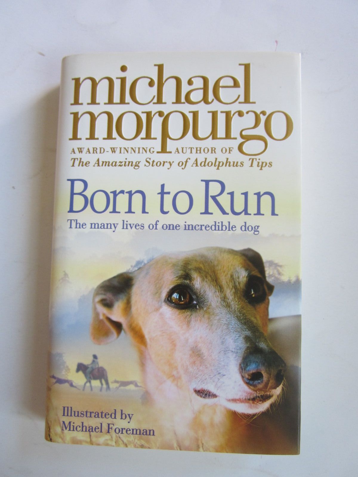 Photo of BORN TO RUN written by Morpurgo, Michael illustrated by Foreman, Michael published by Harper Collins Childrens Books (STOCK CODE: 1501174)  for sale by Stella & Rose's Books