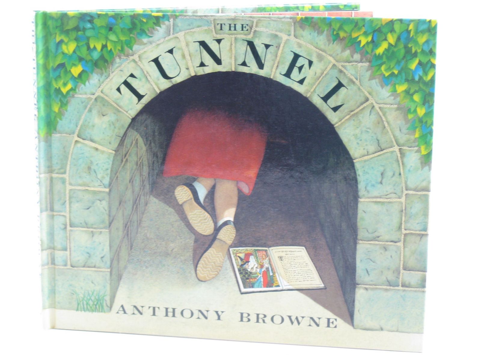 Photo of THE TUNNEL written by Browne, Anthony illustrated by Browne, Anthony published by Julia MacRae Books (STOCK CODE: 1501854)  for sale by Stella & Rose's Books