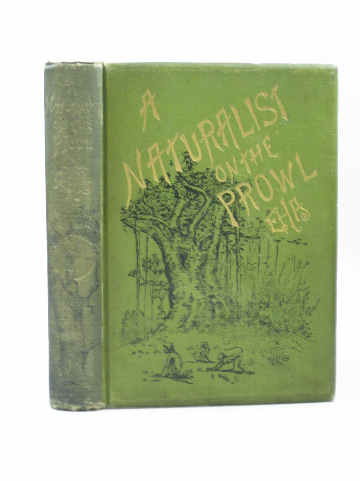 Photo of A NATURALIST ON THE PROWL written by E.H.A., illustrated by Sterndale, R.A. published by W. Thacker &amp; Co. (STOCK CODE: 1502922)  for sale by Stella & Rose's Books
