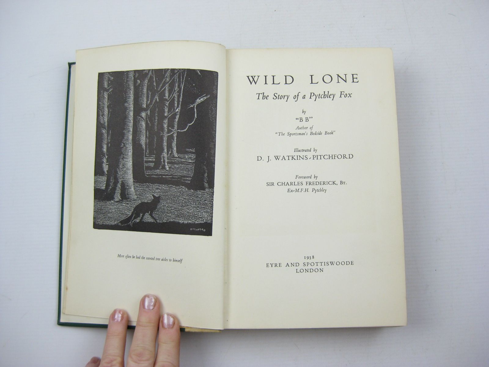 Photo of WILD LONE written by BB,  illustrated by BB,  published by Eyre & Spottiswoode (STOCK CODE: 1503113)  for sale by Stella & Rose's Books