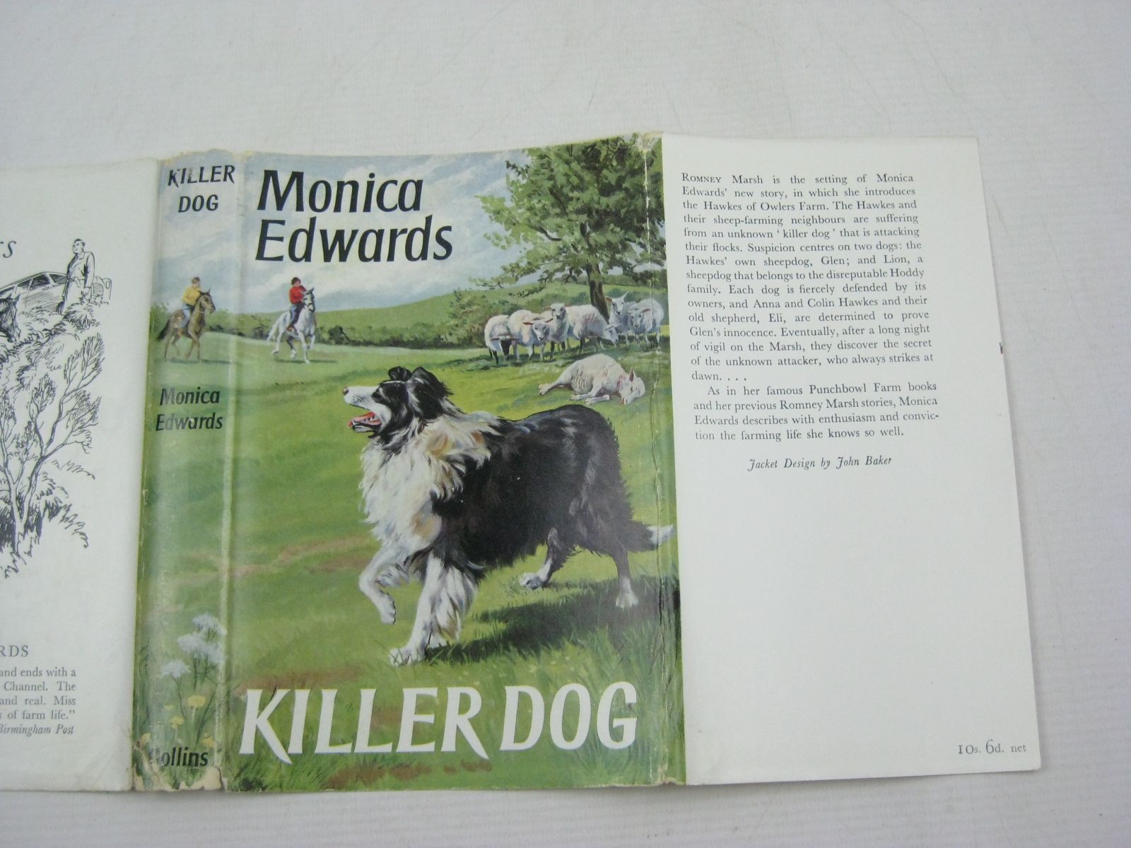 Photo of KILLER DOG written by Edwards, Monica illustrated by Rose, Sheila published by Collins (STOCK CODE: 1504971)  for sale by Stella & Rose's Books