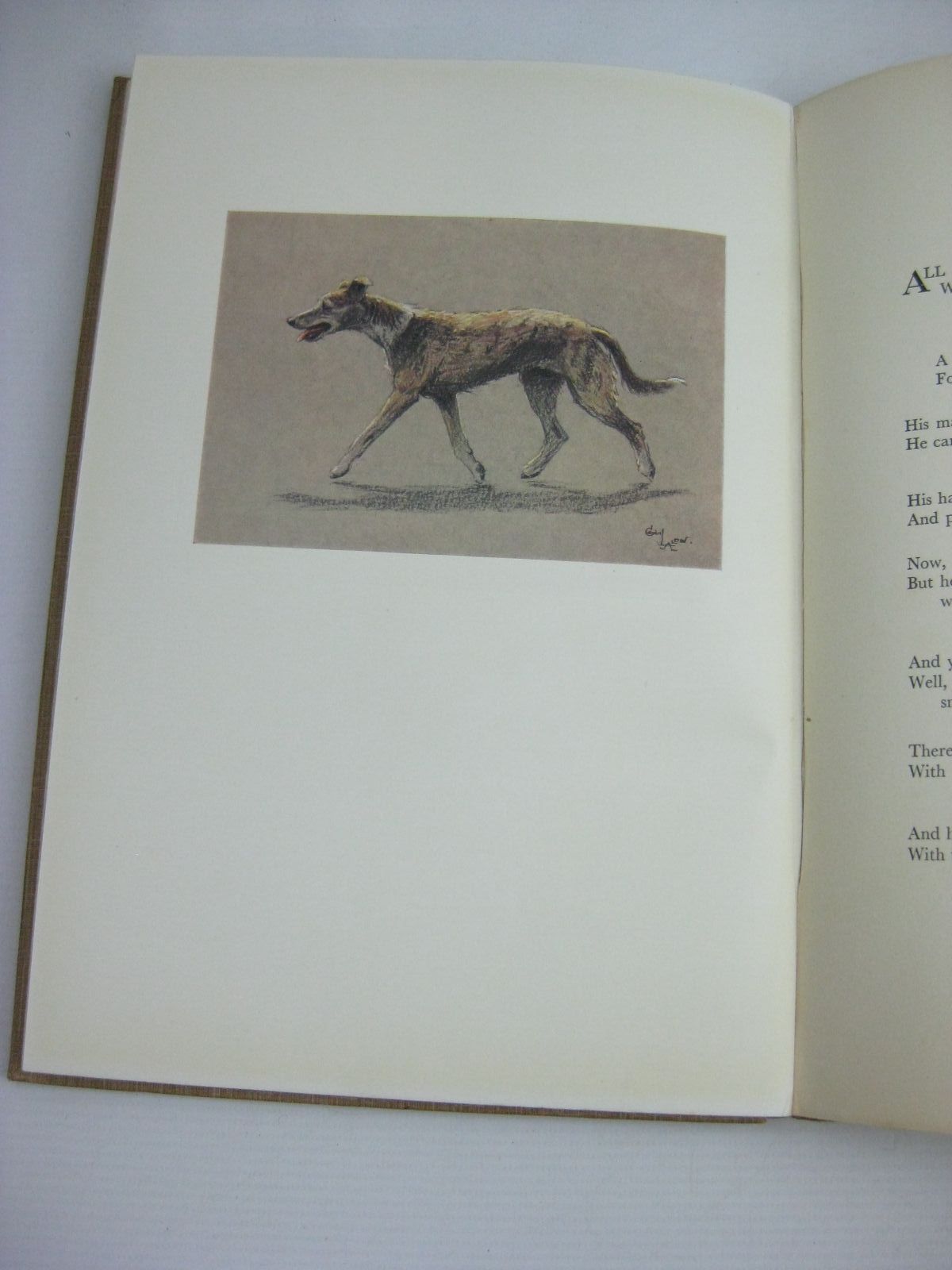 Photo of A DOZEN DOGS OR SO written by Chalmers, Patrick R. illustrated by Aldin, Cecil published by Eyre & Spottiswoode (STOCK CODE: 1506026)  for sale by Stella & Rose's Books