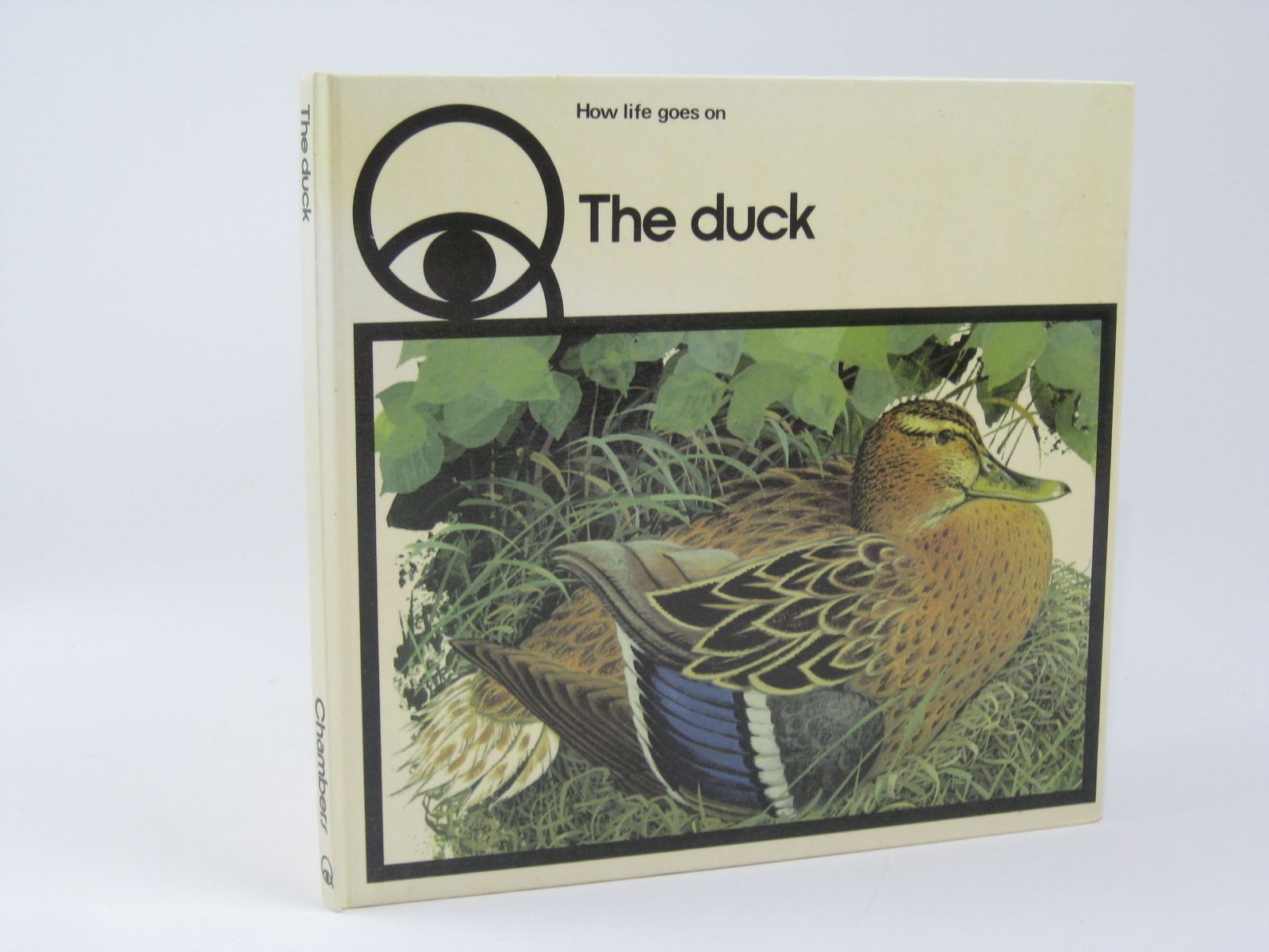 Photo of HOW LIFE GOES ON THE DUCK written by Roels, Iliane Nicolas, Claude illustrated by Baynes, Pauline published by W. &amp; R. Chambers Limited (STOCK CODE: 1506709)  for sale by Stella & Rose's Books
