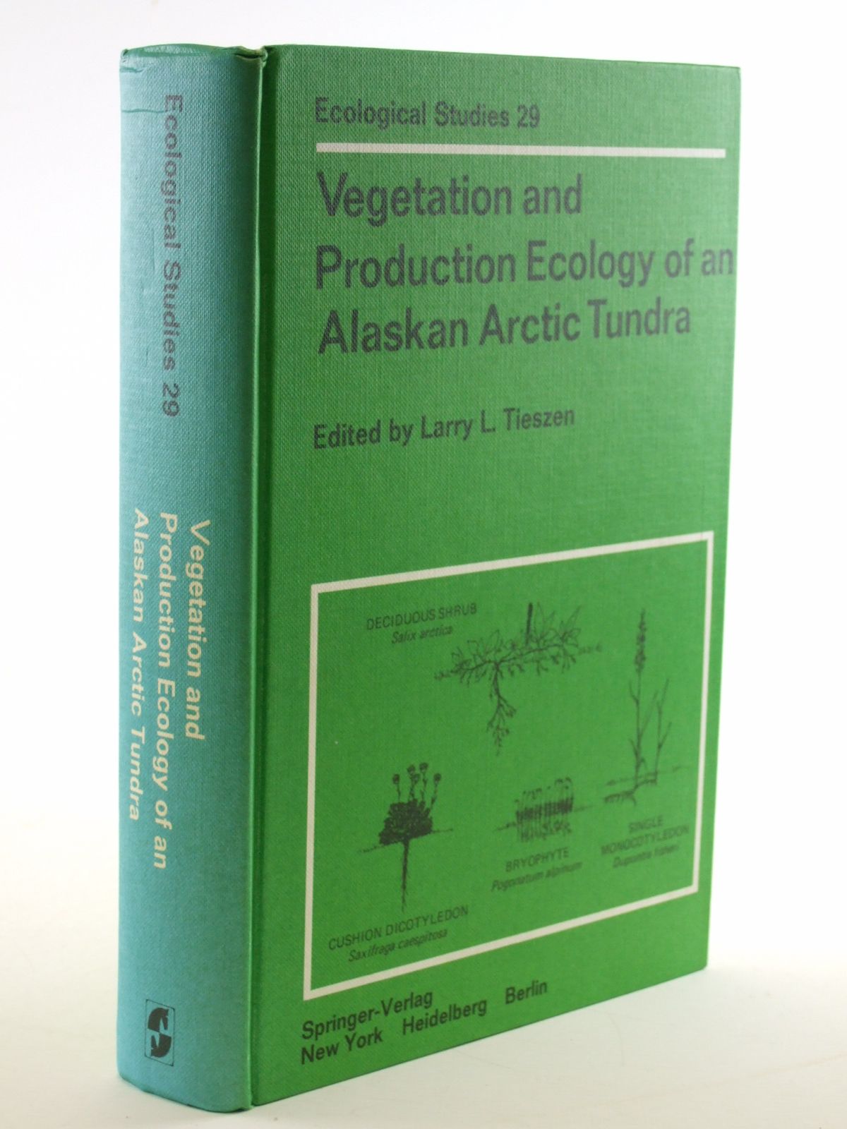 Photo of VEGETATION AND PRODUCTION ECOLOGY OF AN ALASKAN ARCTIC TUNDRA written by Tieszen, Larry L. published by Springer-Verlag (STOCK CODE: 1602938)  for sale by Stella & Rose's Books