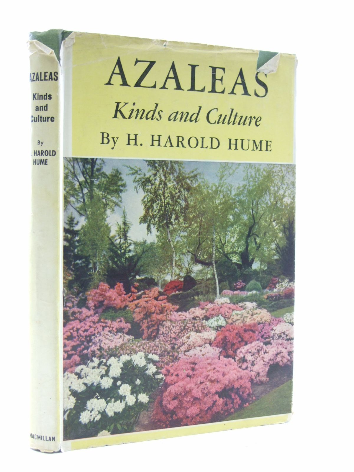 Photo of AZALEAS KINDS AND CULTURES written by Hume, H. Harold published by The Macmillan Company (STOCK CODE: 1603929)  for sale by Stella & Rose's Books