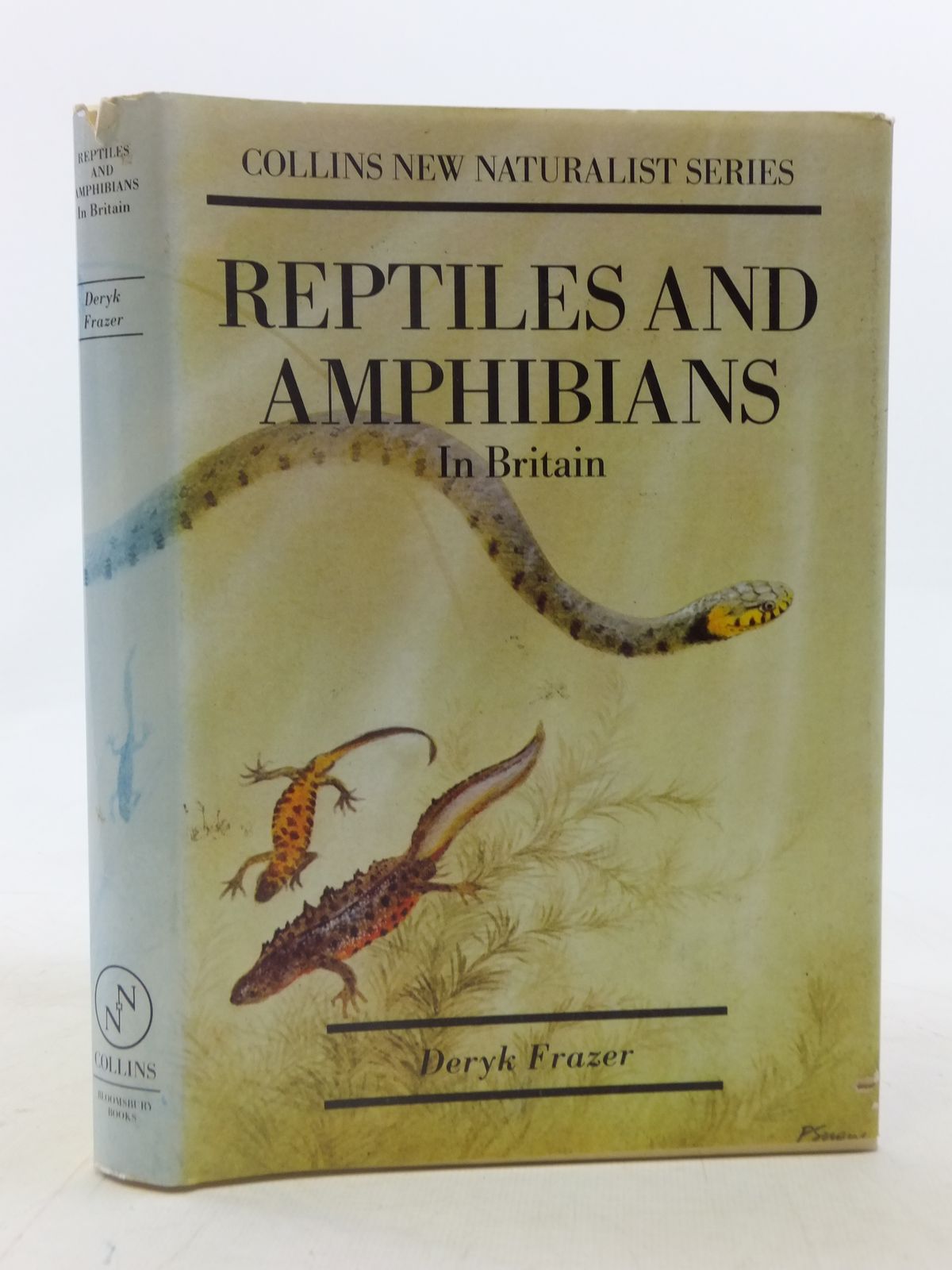 Photo of REPTILES AND AMPHIBIANS IN BRITAIN written by Frazer, Deryk published by Bloomsbury Books (STOCK CODE: 1605824)  for sale by Stella & Rose's Books