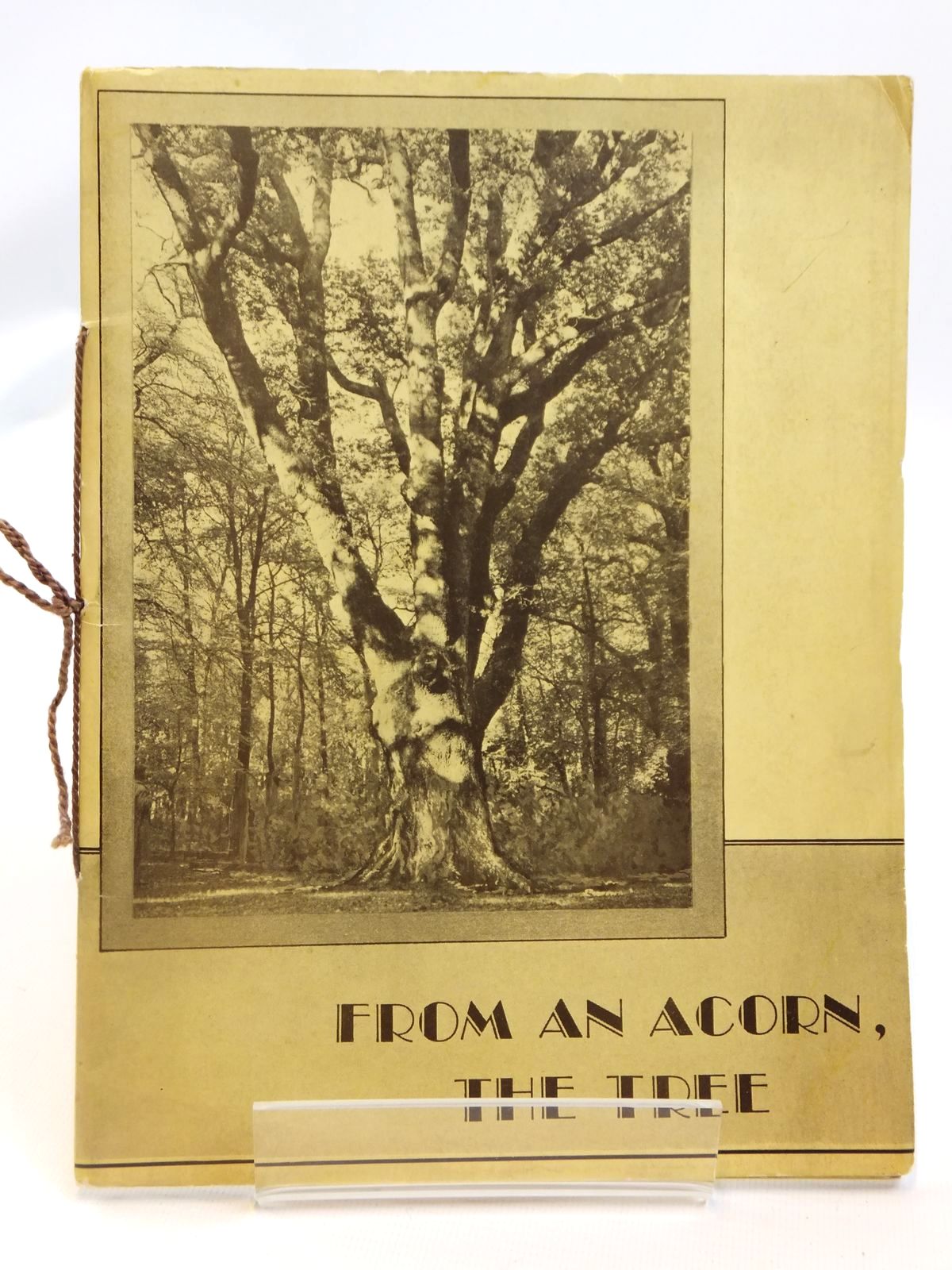 Photo of FROM AN ACORN, THE TREE written by Lewis, Harry (STOCK CODE: 1608341)  for sale by Stella & Rose's Books