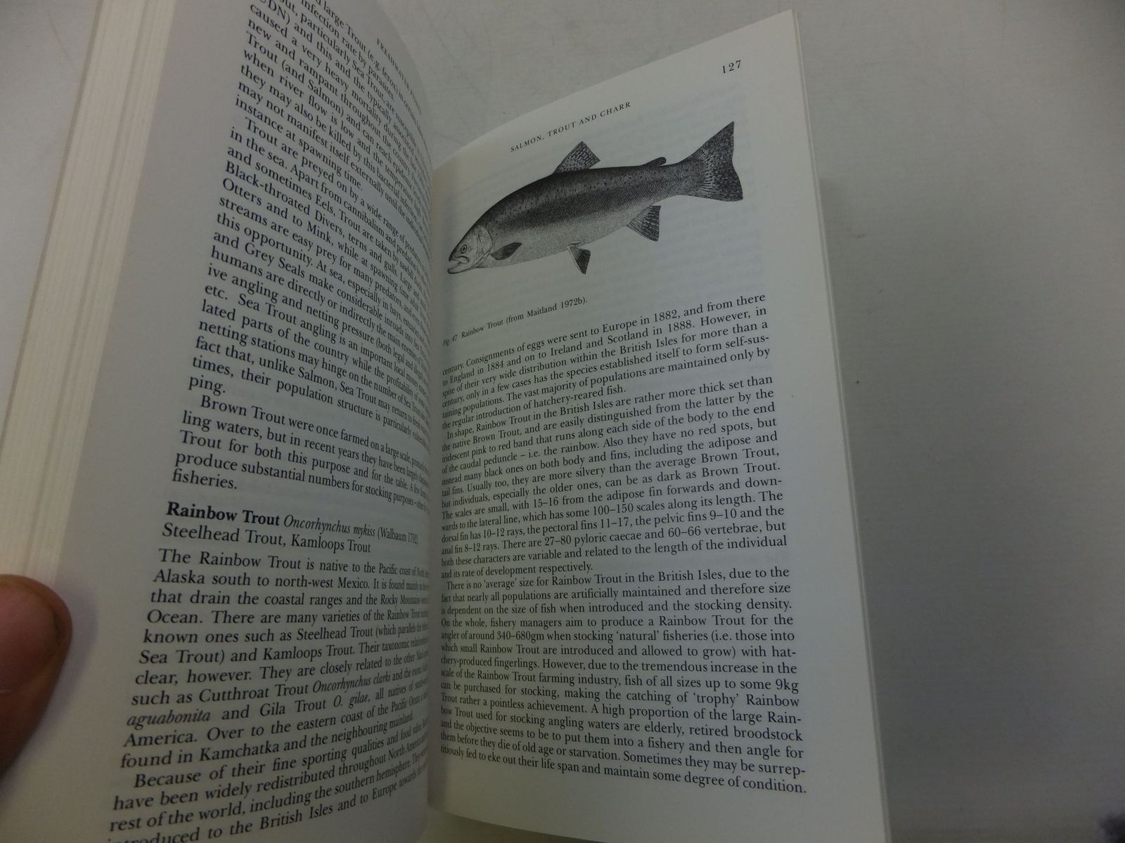 Photo of FRESHWATER FISHES OF THE BRITISH ISLES (NN 75) written by Maitland, Peter S.
Campbell, R. Niall published by Harper Collins (STOCK CODE: 1708162)  for sale by Stella & Rose's Books