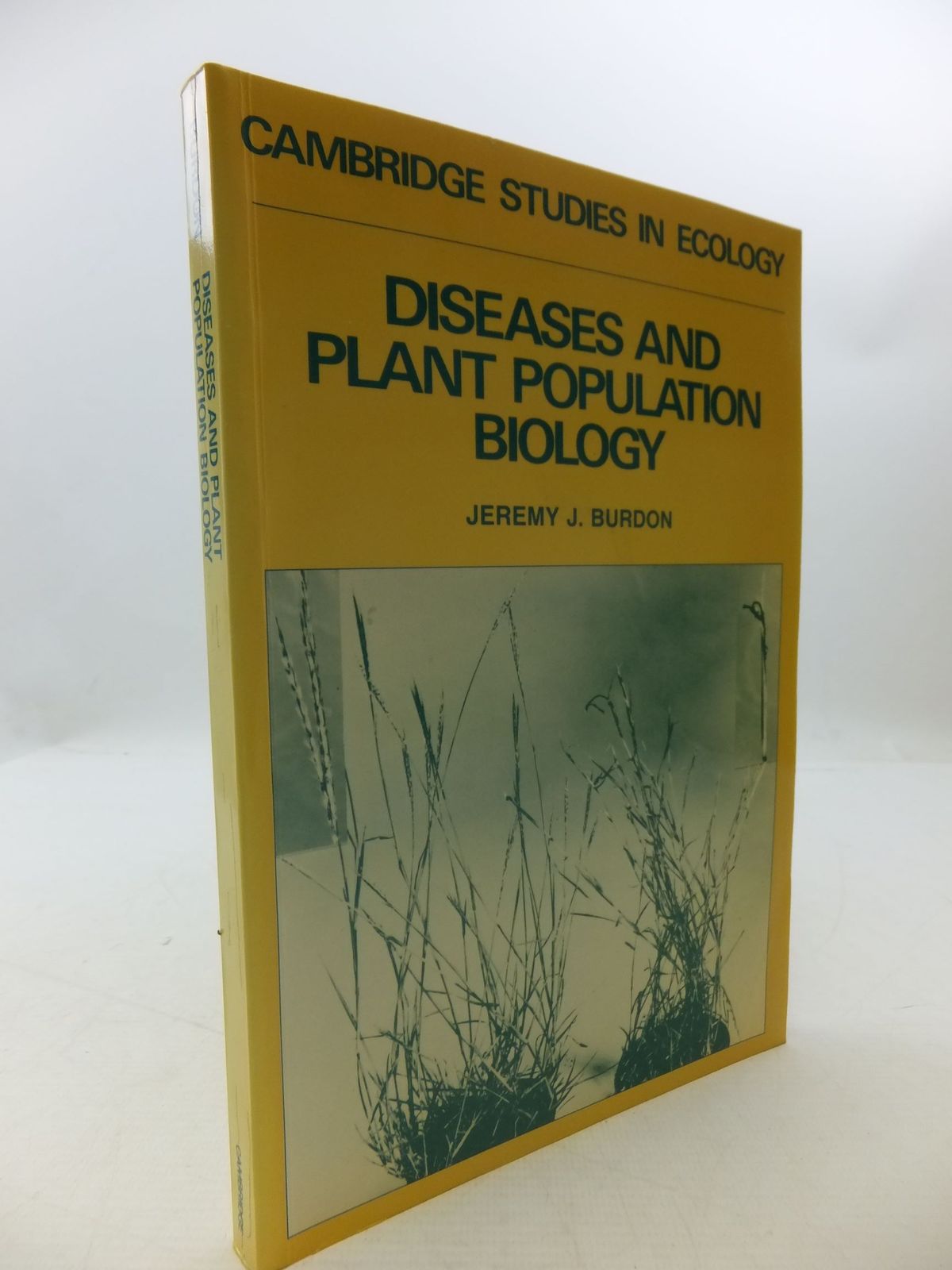 Photo of DISEASES AND PLANT POPULATION BIOLOGY- Stock Number: 1708627