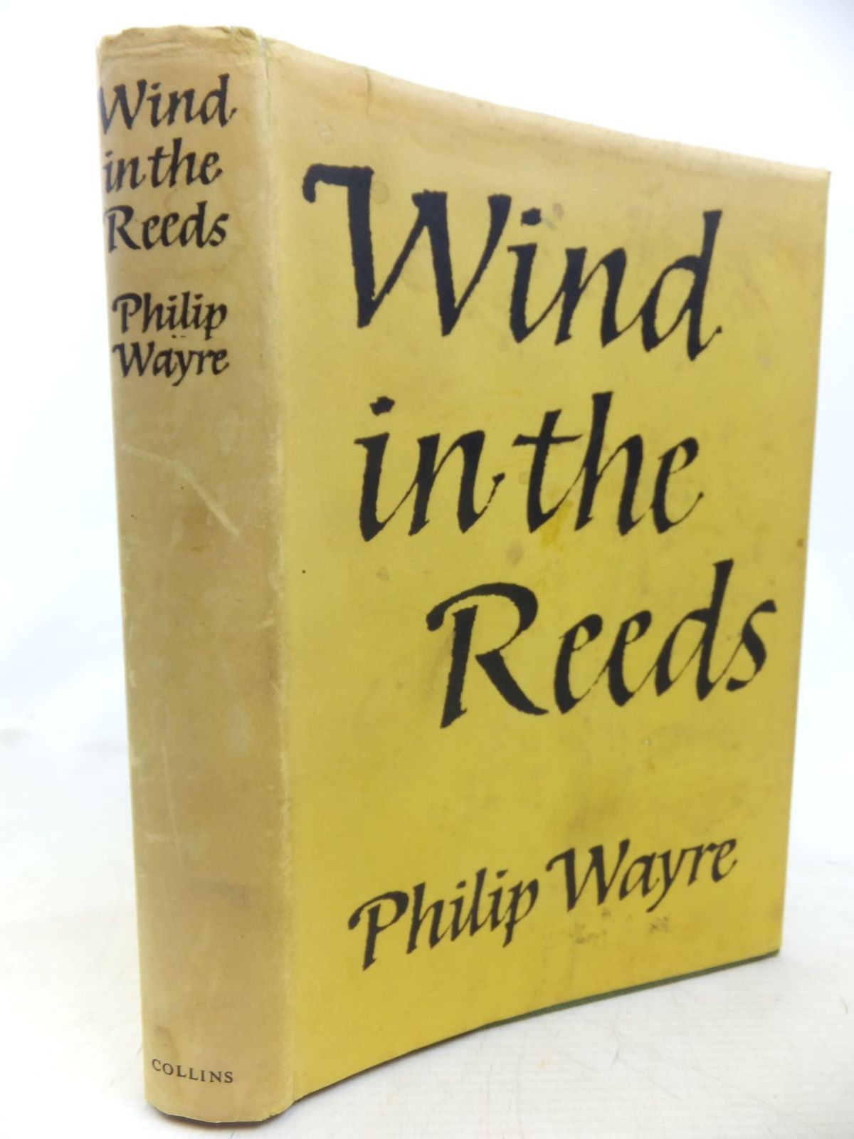 Photo of WIND IN THE REEDS written by Wayre, Philip published by Collins (STOCK CODE: 1712918)  for sale by Stella & Rose's Books