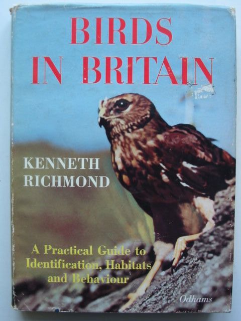 Photo of BIRDS IN BRITAIN written by Richmond, Kenneth published by Odhams Press Limited (STOCK CODE: 1801182)  for sale by Stella & Rose's Books