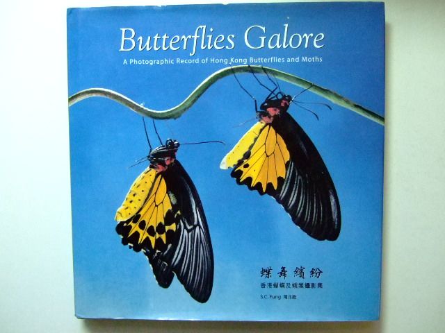Photo of BUTTERFLIES GALORE written by Fung, S.C. published by S.C.Fung (STOCK CODE: 1803008)  for sale by Stella & Rose's Books