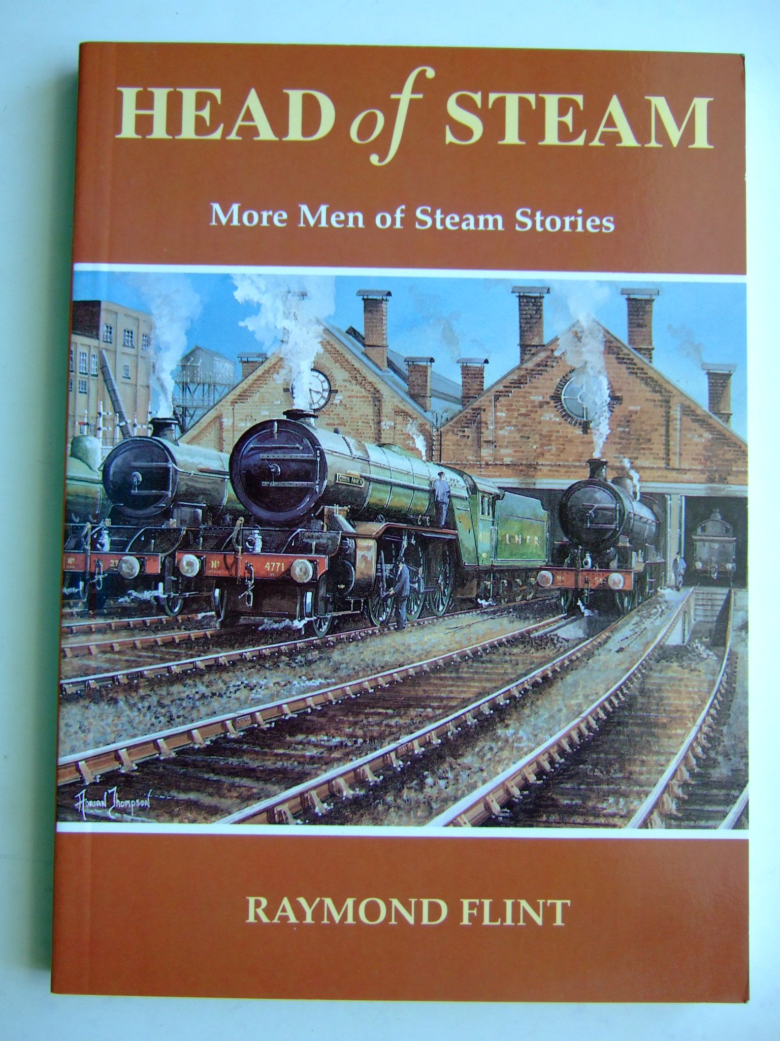 Photo of HEAD OF STEAM written by Flint, Raymond published by Santona Publications (STOCK CODE: 1804498)  for sale by Stella & Rose's Books