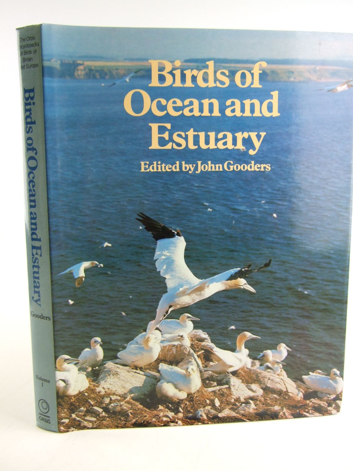 Photo of BIRDS OF OCEAN AND ESTUARY- Stock Number: 1805138