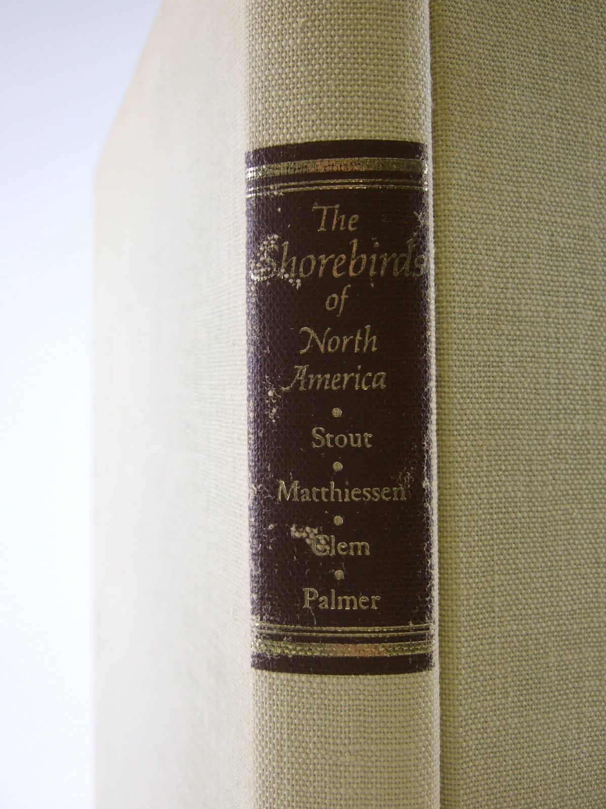 Photo of THE SHOREBIRDS OF NORTH AMERICA written by Matthiessen, Peter illustrated by Clem, Robert Verity published by The Viking Press (STOCK CODE: 1805564)  for sale by Stella & Rose's Books
