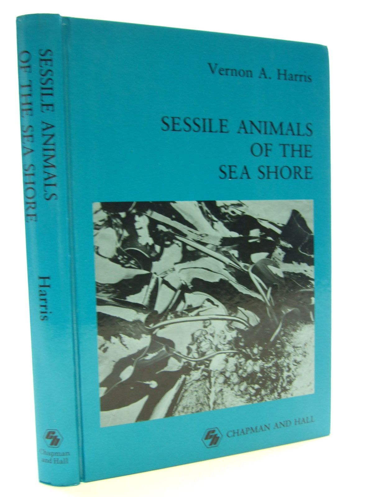 Photo of SESSILE ANIMALS OF THE SEA SHORE written by Harris, Vernon A. published by Chapman &amp; Hall (STOCK CODE: 1805653)  for sale by Stella & Rose's Books