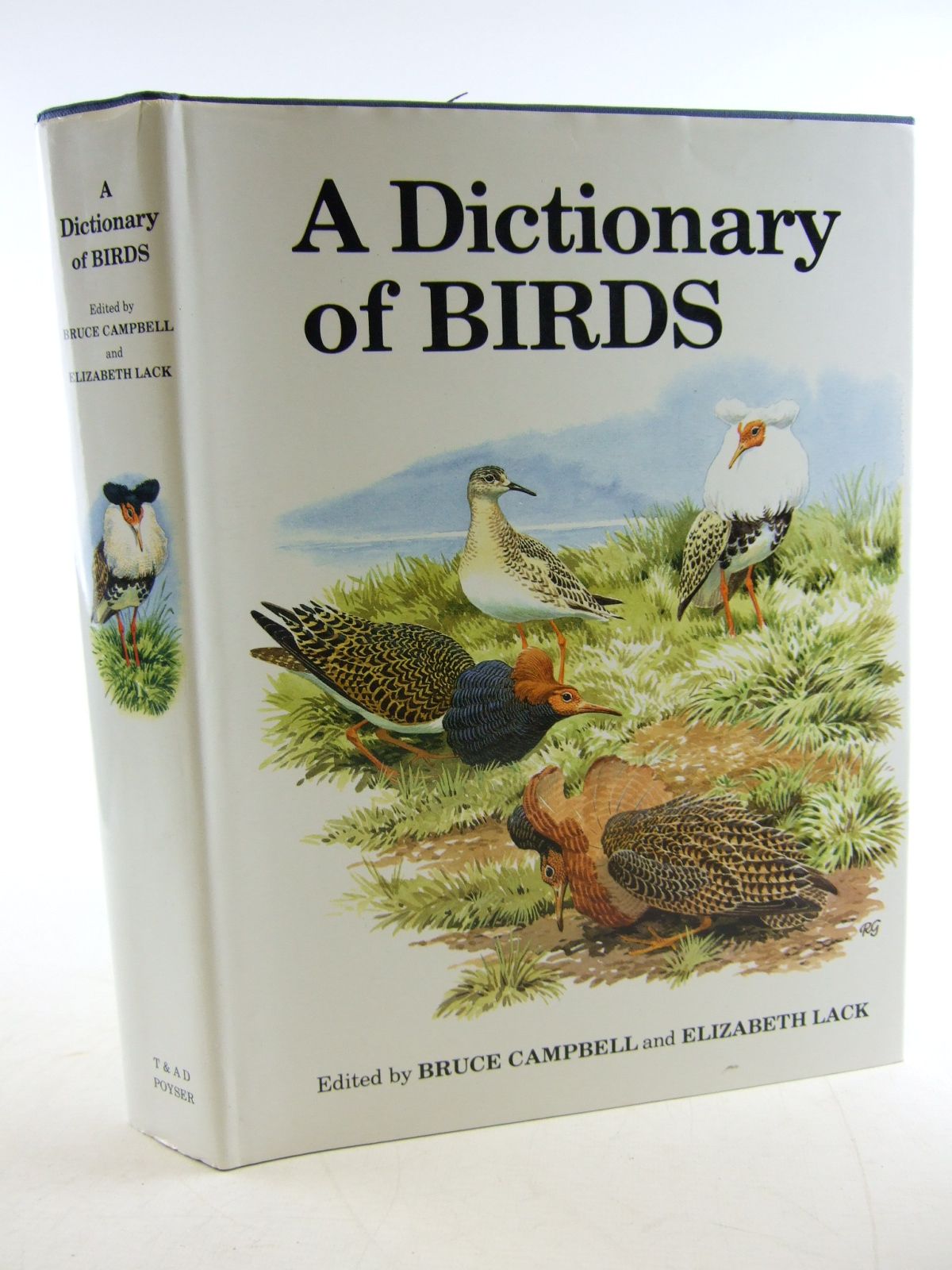 Photo of A DICTIONARY OF BIRDS- Stock Number: 1806151