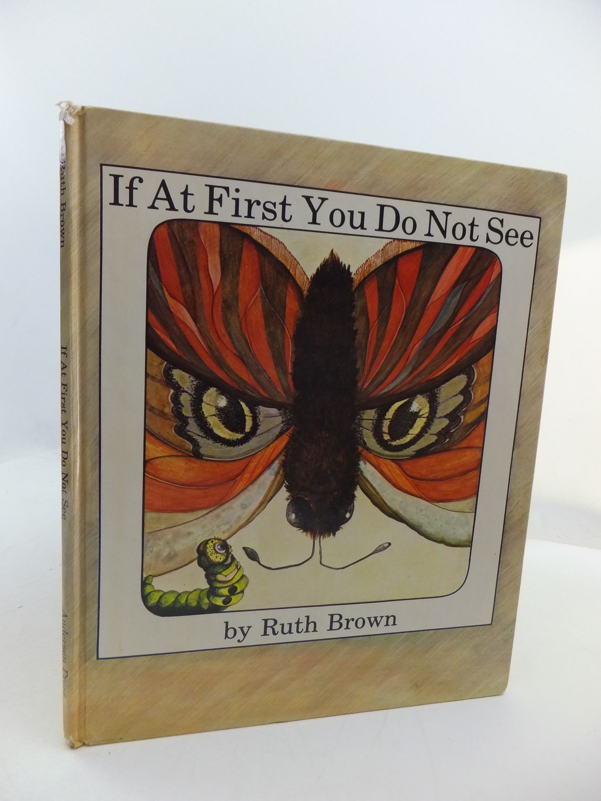 Photo of IF AT FIRST YOU DO NOT SEE written by Brown, Ruth illustrated by Brown, Ruth published by Andersen Press (STOCK CODE: 1807947)  for sale by Stella & Rose's Books