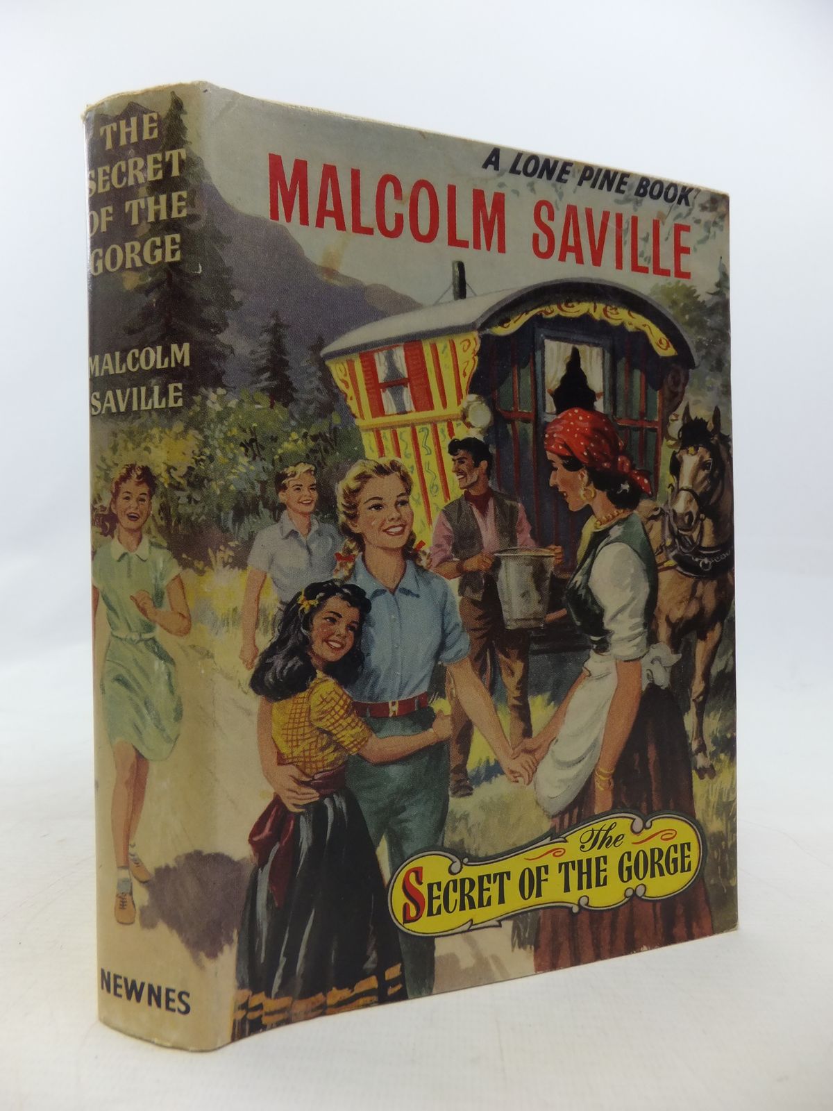 Stella & Rose's Books : THE SECRET OF THE GORGE Written By Malcolm ...