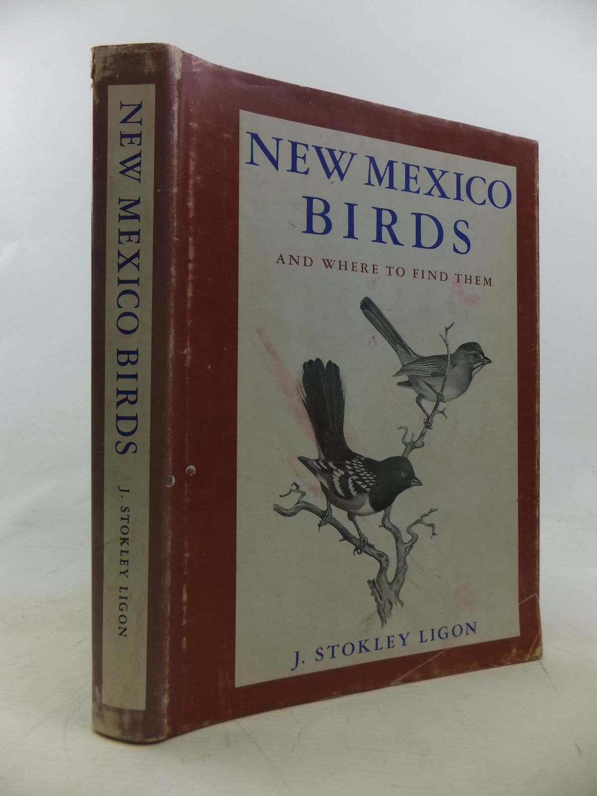 Stella & Rose's Books : NEW MEXICO BIRDS AND WHERE TO FIND THEM Written ...