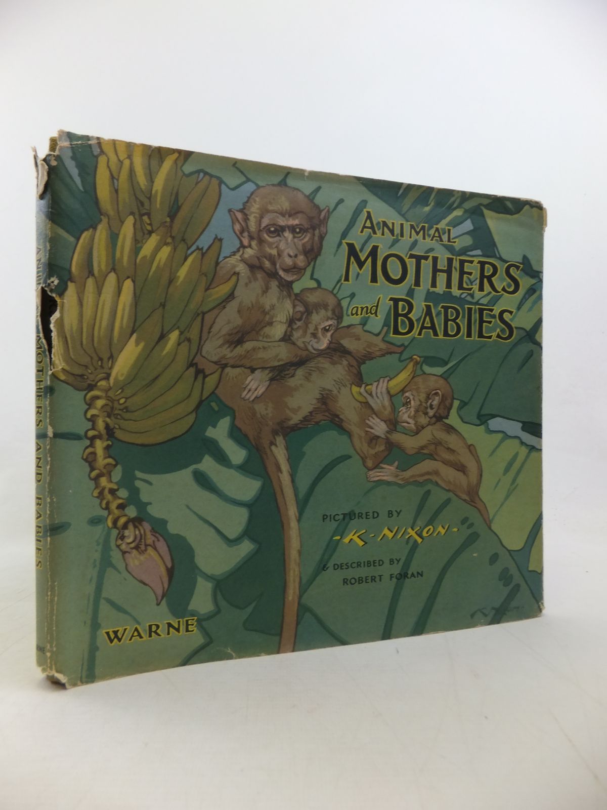 Photo of ANIMAL MOTHERS AND BABIES written by Foran, Robert illustrated by Nixon, K. published by Frederick Warne &amp; Co Ltd. (STOCK CODE: 1811215)  for sale by Stella & Rose's Books