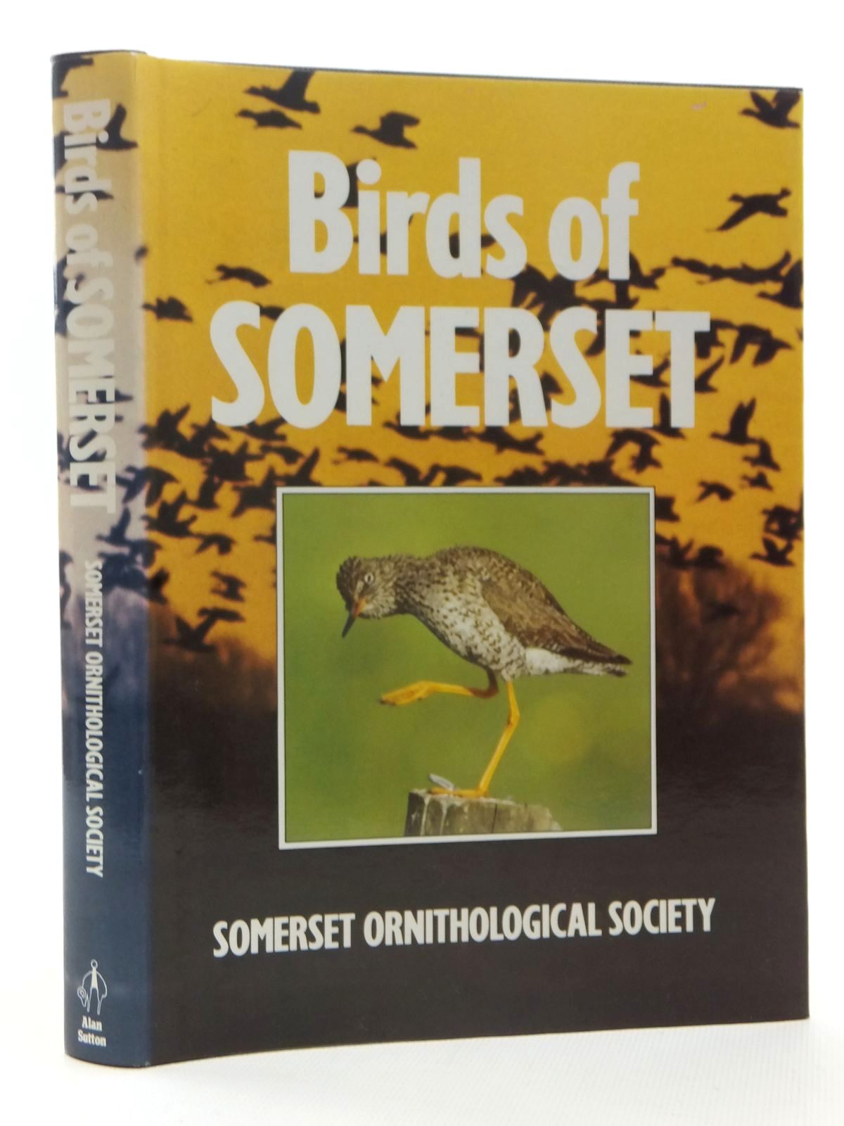 Photo of BIRDS OF SOMERSET written by Somerset Ornithological Society,  published by Alan Sutton (STOCK CODE: 1815469)  for sale by Stella & Rose's Books