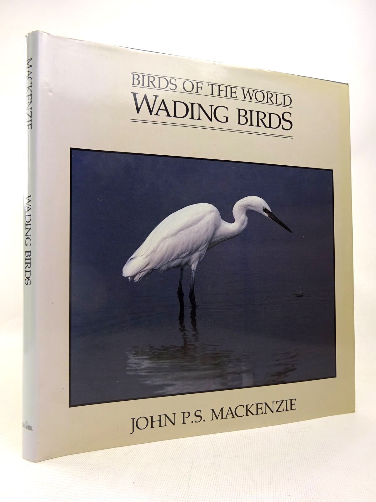 Photo of BIRDS OF THE WORLD: WADING BIRDS- Stock Number: 1816542