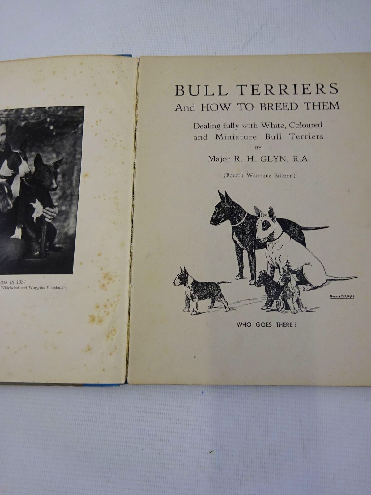 Photo of BULL TERRIERS AND HOW TO BREED THEM written by Glyn, R.H. published by Hall The Printer Ltd. (STOCK CODE: 1816784)  for sale by Stella & Rose's Books
