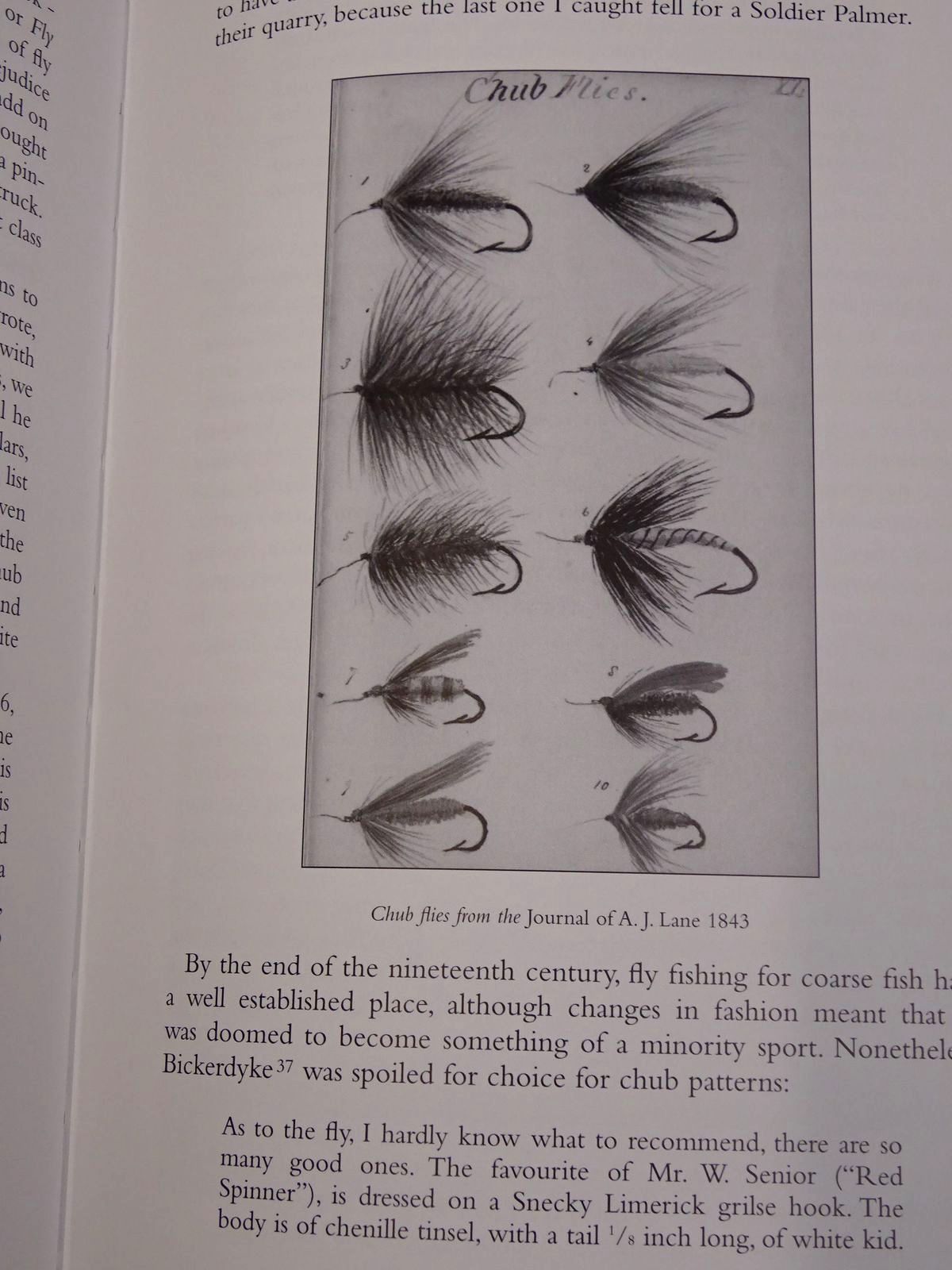 Photo of THE FLY written by Herd, Andrew illustrated by Cook, Paul published by The Medlar Press (STOCK CODE: 1817249)  for sale by Stella & Rose's Books