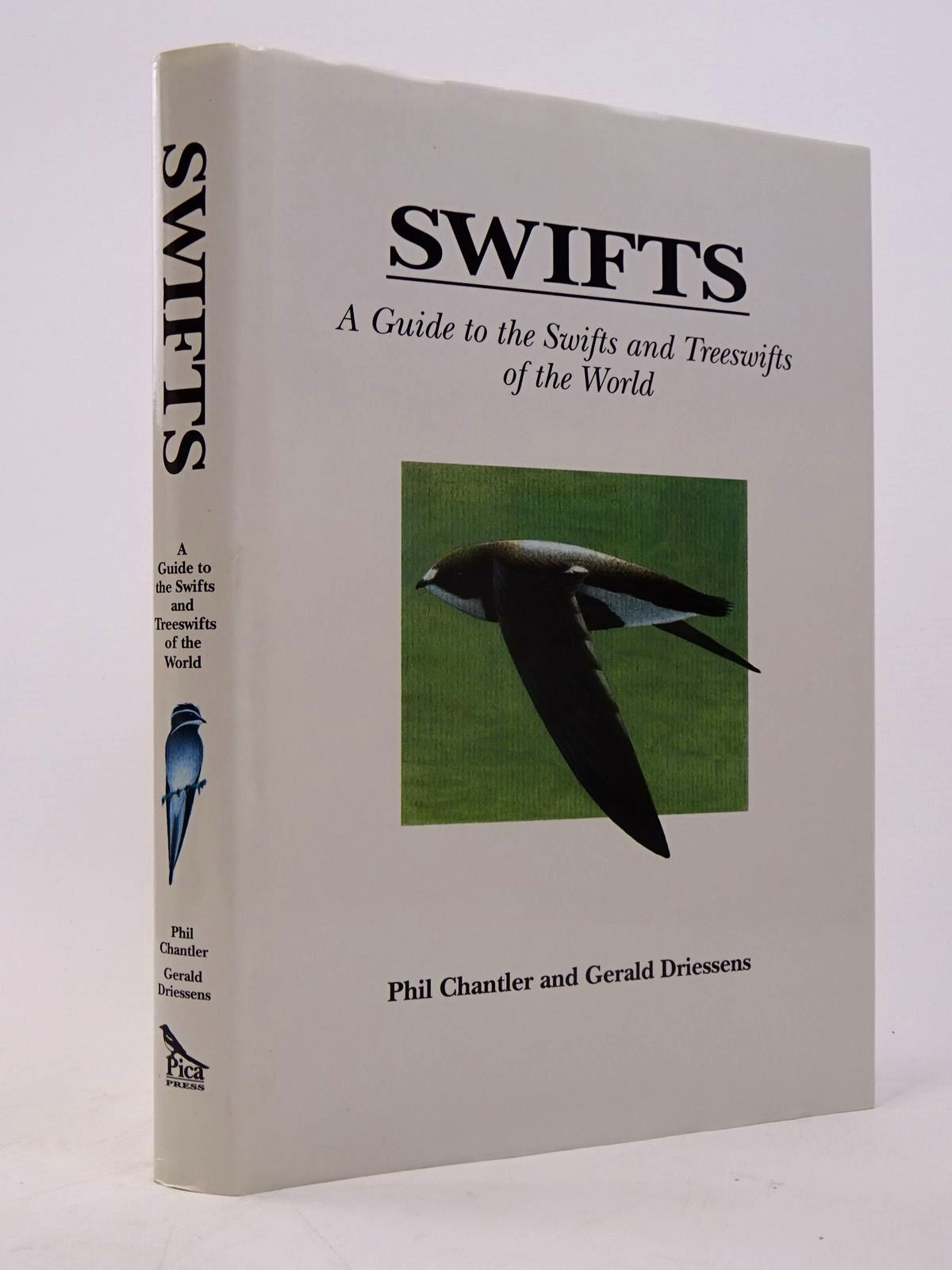 Photo of SWIFTS- Stock Number: 1817574