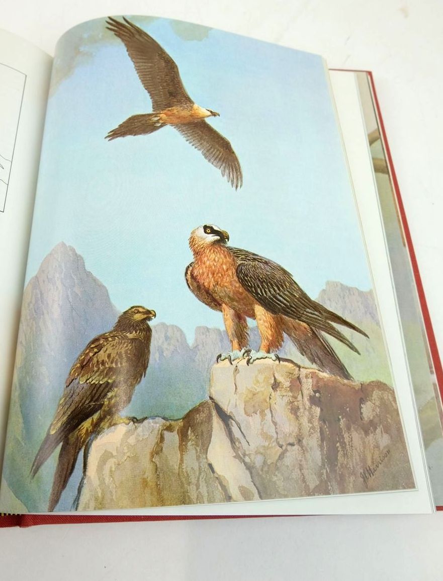 Photo of EAGLES, HAWKS AND FALCONS OF THE WORLD (2 VOLUMES) written by Brown, Leslie H.
Amadon, Dean illustrated by Peterson, Roger Tory
et al.,  published by Country Life (STOCK CODE: 1820533)  for sale by Stella & Rose's Books